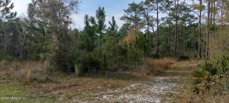 7527 Golf Club St, Crystal River, FL 34429