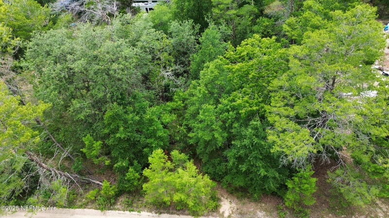 127 East Dr, Florahome, FL 32140