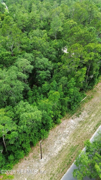 417 Hillsborough Ave, Florahome, FL 32140