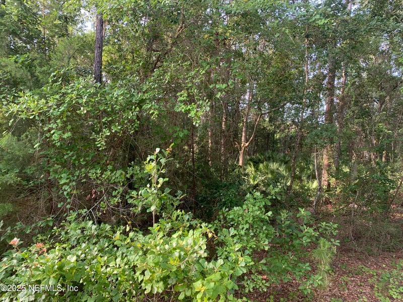 000 Appaloosa Dr, Interlachen, FL 32148