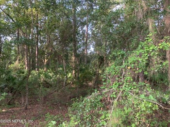 000 Appaloosa Dr, Interlachen, FL 32148