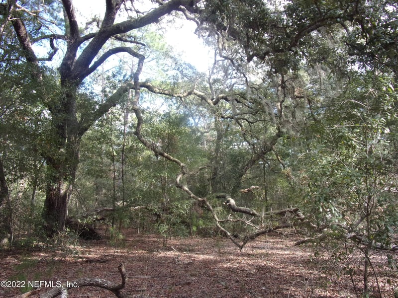 0 County Road 315, Interlachen, FL 32148