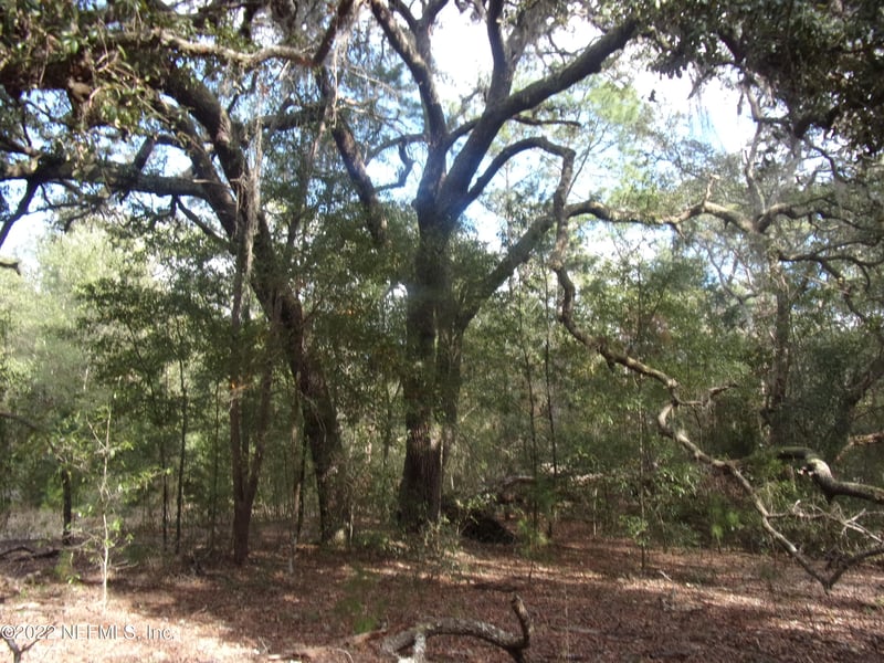 0 County Road 315, Interlachen, FL 32148