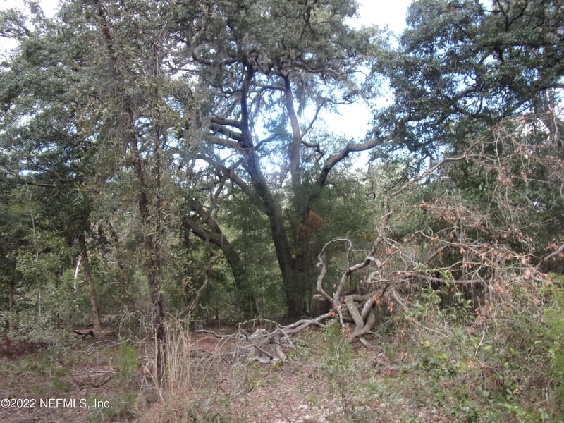 0 County Road 315, Interlachen, FL 32148