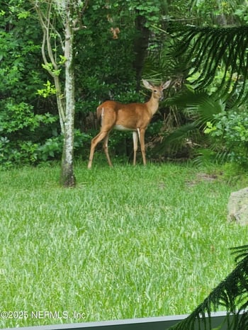 4518 Mountain Brook Ln, Jacksonville, FL 32224