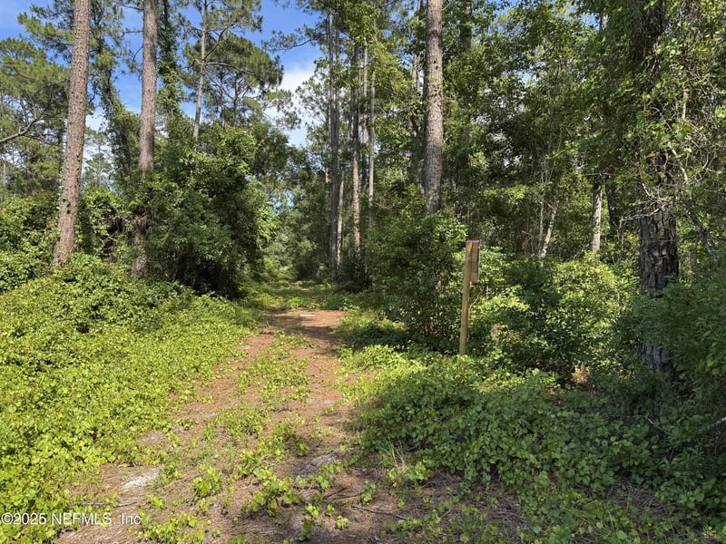 215 Ward Ave, Crescent, FL 32112