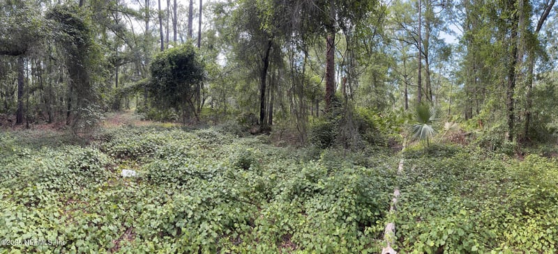 332 Ward Ave, Crescent, FL 32112