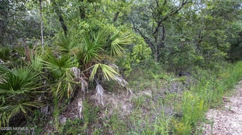 4235 Oak Forest Ln, Keystone Heights, FL 32656