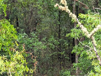 7681 El Dorado Ave, Keystone Heights, FL 32656