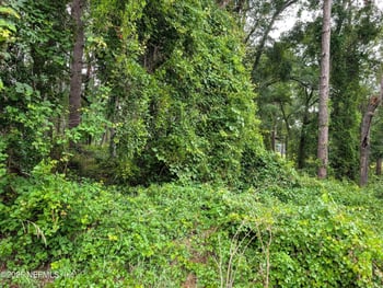 00 Se 1st Ave, Keystone Heights, FL 32656