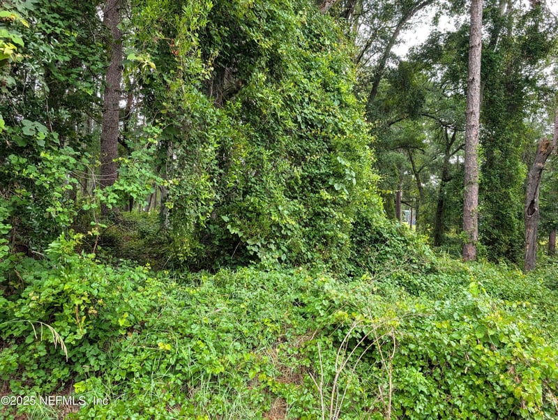 00 Se 1st Ave, Keystone Heights, FL 32656