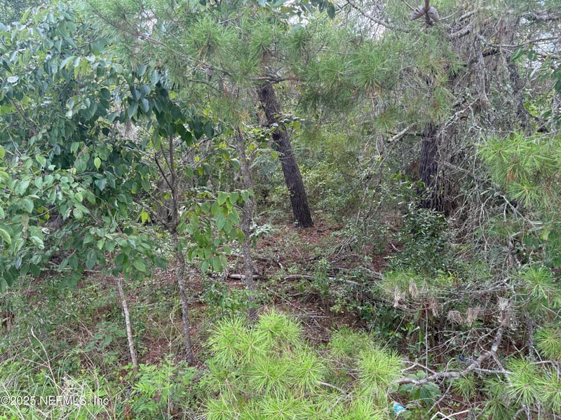 121 Istanbul St, Interlachen, FL 32148