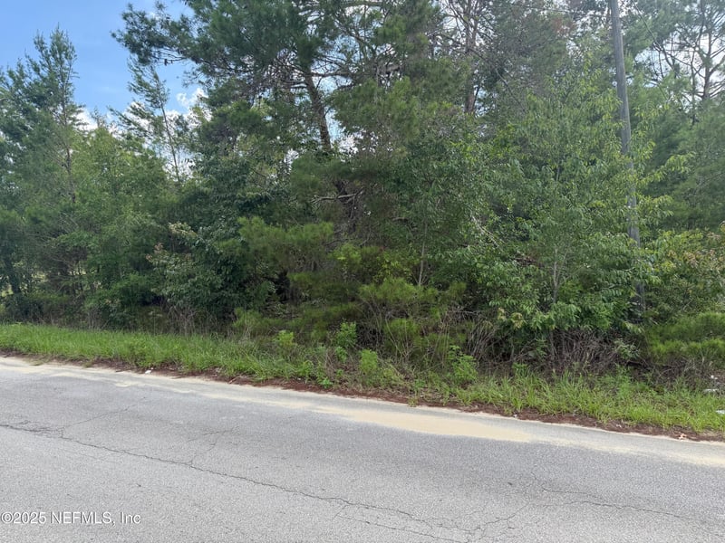 121 Istanbul St, Interlachen, FL 32148