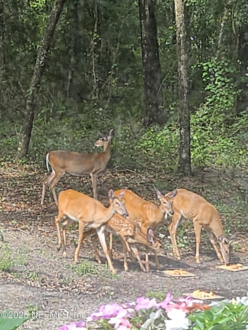 8290 Melrose Rd, Melrose, FL 32666