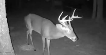 8290 Melrose Rd, Melrose, FL 32666