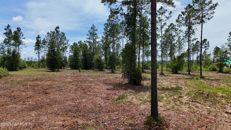 8591 Ford Rd, Bryceville, FL 32009