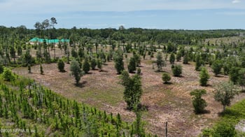 8591 Ford Rd, Bryceville, FL 32009