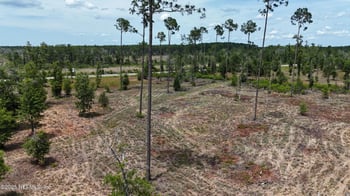 8623 Ford Rd, Bryceville, FL 32009