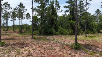 8815 Ford Rd, Bryceville, FL 32009