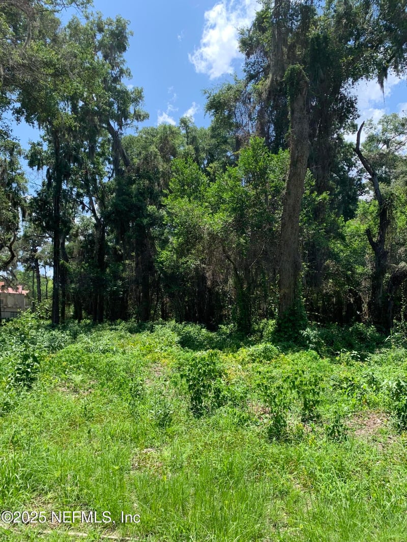 0 Milwaukee Ave, Orange Park, FL 32073