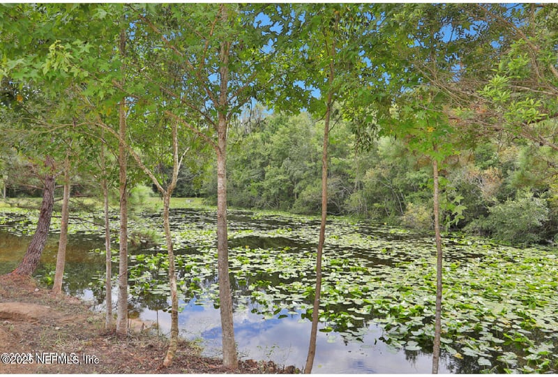 2972 Cape View Dr, Jacksonville, FL 32226