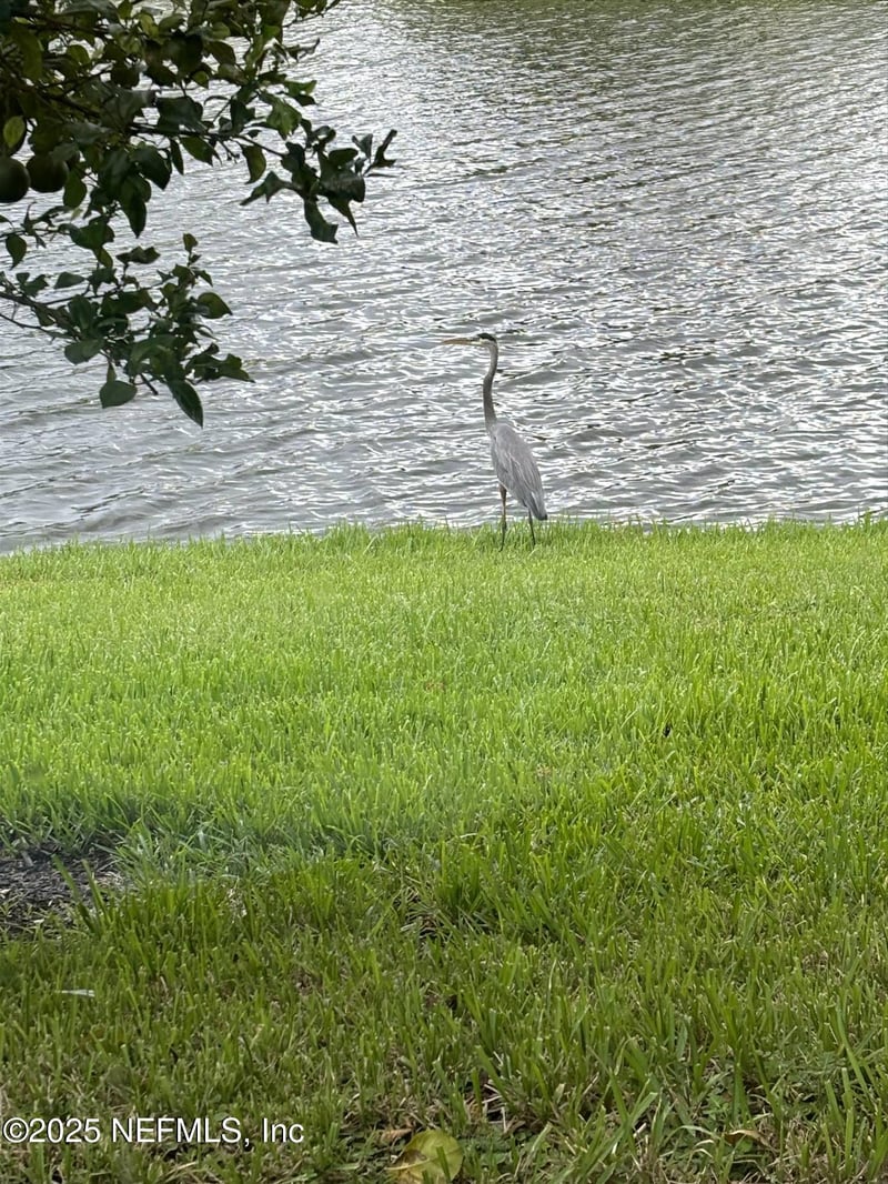 501 Legacy Trl, St Augustine, FL 32092