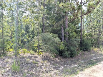 7676 Los Padres Ave, Keystone Heights, FL 32656