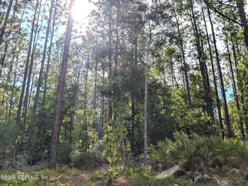 7676 Los Padres Ave, Keystone Heights, FL 32656