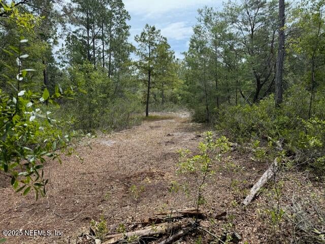 XXX S Francis St, Interlachen, FL 32148