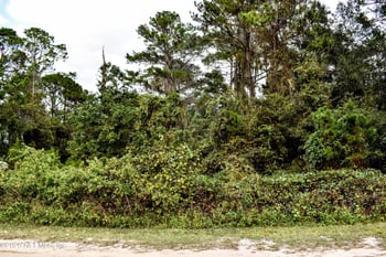 106 Flora Ter, Florahome, FL 32140