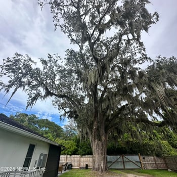 7304 Bowden Rd, Jacksonville, FL 32216