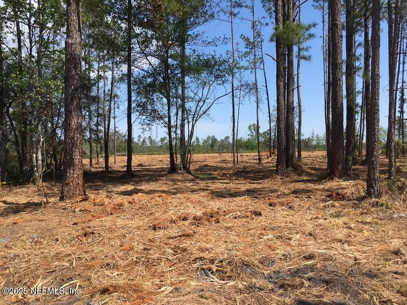 0 103rd St, Jacksonville, FL 32221