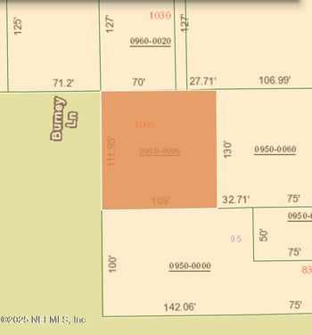 1009 Clemons Ln, Crescent City, FL 32112