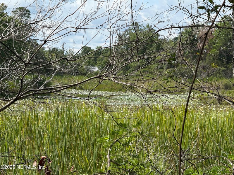 151 Long Branch Trl, Interlachen, FL 32148