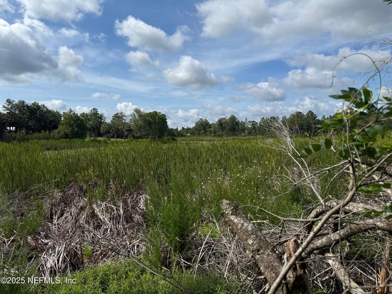 151 Long Branch Trl, Interlachen, FL 32148