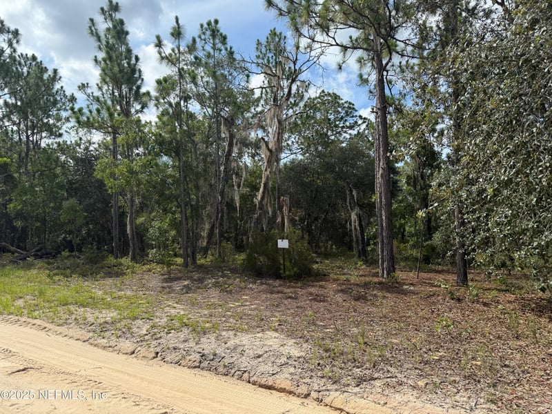 151 Long Branch Trl, Interlachen, FL 32148