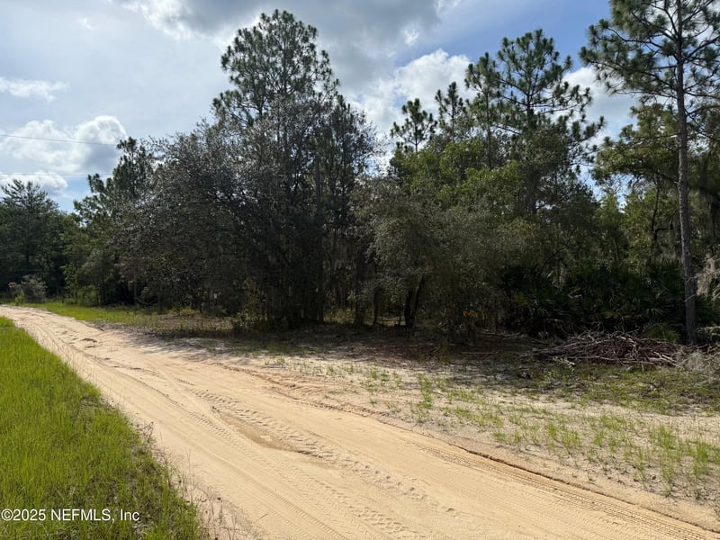 151 Long Branch Trl, Interlachen, FL 32148