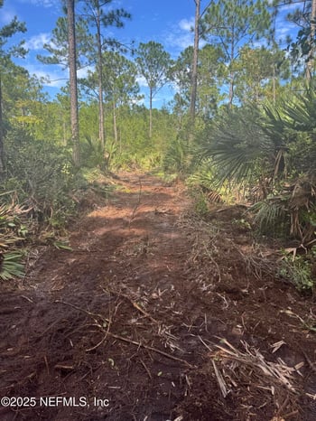 000 West 11th Lot 3 St, St Augustine, FL 32084