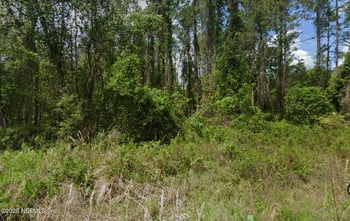 140 Edgemere Dr, Georgetown, FL 32139