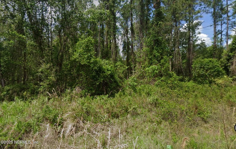 140 Edgemere Dr, Georgetown, FL 32139