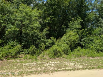 0-1550 Pine Rd, Interlachen, FL 32148