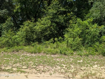 0-1550 Pine Rd, Interlachen, FL 32148