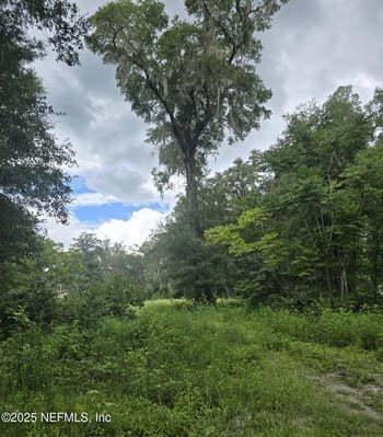 Main St, Middleburg, FL 32068