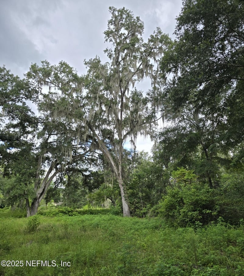 2326 North St, Middleburg, FL 32068