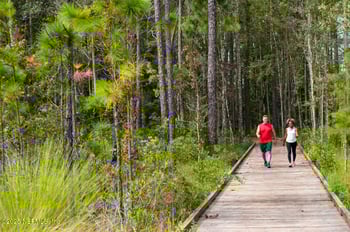 75500 Driftwood Ct, Yulee, FL 32097