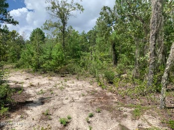 403 Lily Trl, Interlachen, FL 32148