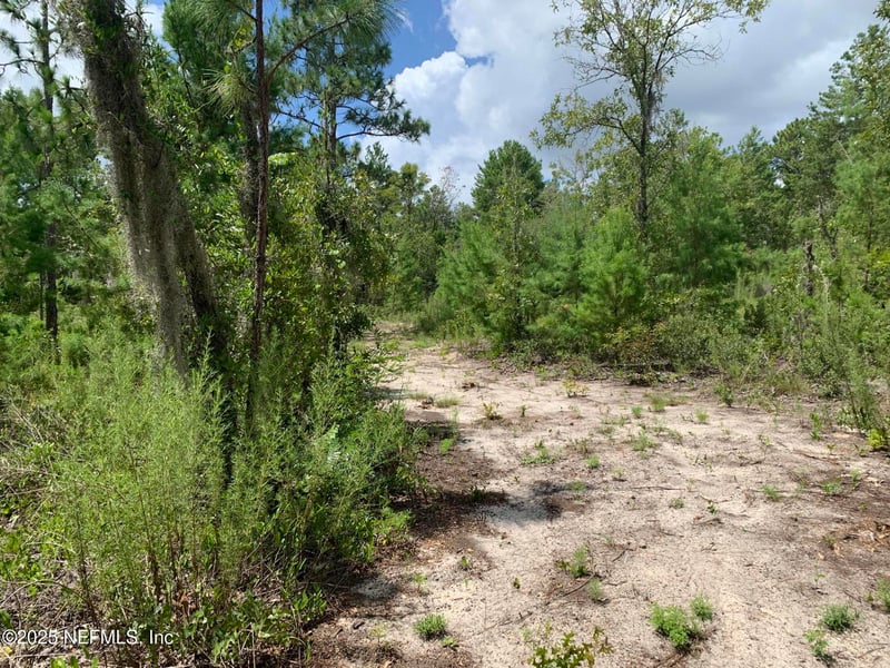 403 Lily Trl, Interlachen, FL 32148