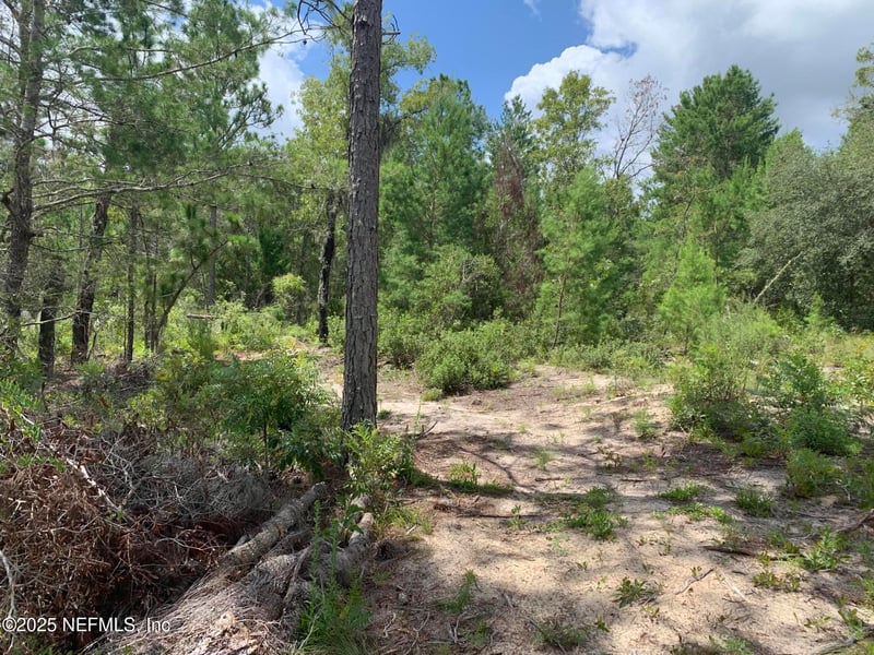 403 Lily Trl, Interlachen, FL 32148