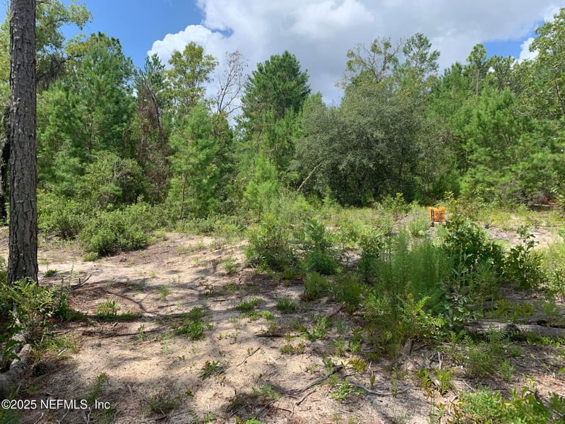 403 Lily Trl, Interlachen, FL 32148