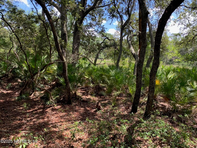 126 Pecan Ave, Interlachen, FL 32148